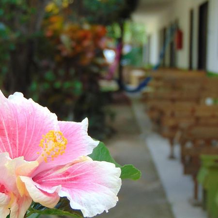 Crucero Tulum Bed & Breakfast Dış mekan fotoğraf