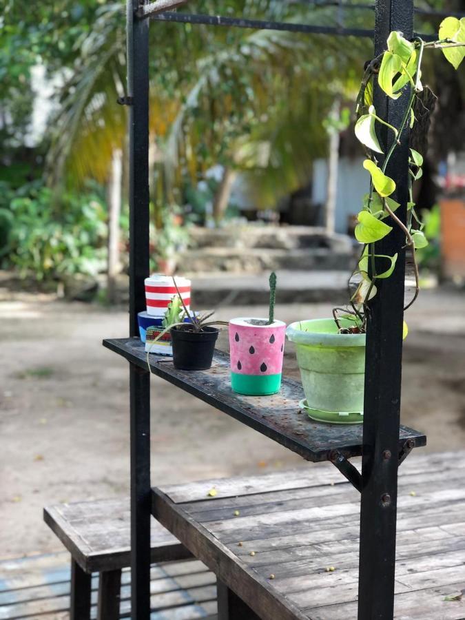 Crucero Tulum Bed & Breakfast Dış mekan fotoğraf